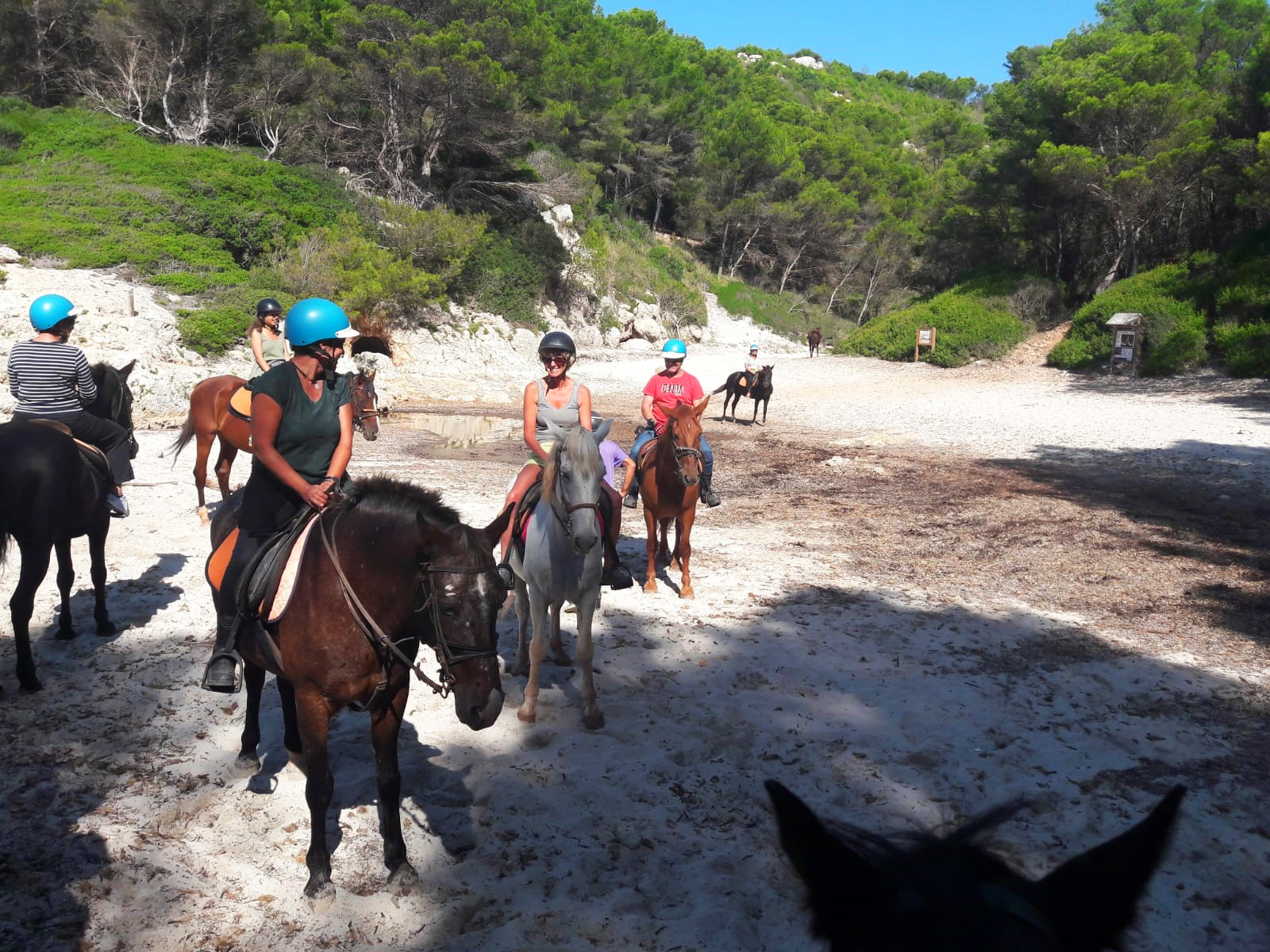 Horseriding in Menorca 